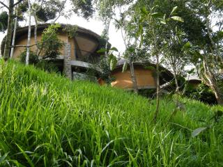 Poetree Thekkady - 9