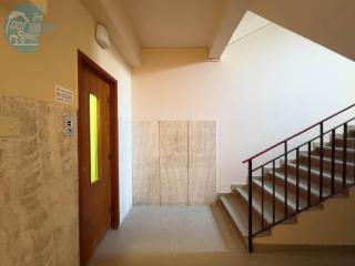 Economo B5 Tirabora Short Rent - Trieste - 1