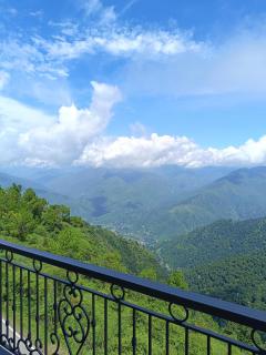 Windmill Inn - Solan - 6