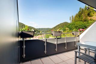 Haus Erika Ferienwohnung 2 - Bad Teinach-Zavelstein - 8