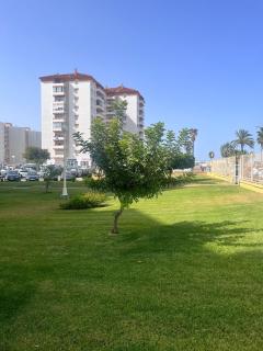 Apartamento en primera línea de playa Valdemar 1 - 0
