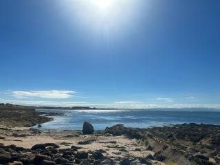 Dolphin View Cottages - Portmahomack - 6