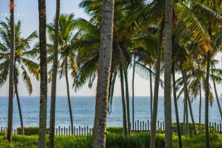 Zostel Varkala - Varkala - 6