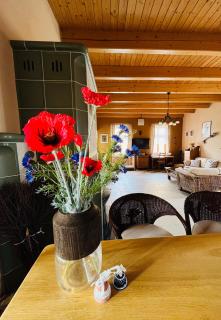 Apartmán U SMRKU - Dvůr Králové nad Labem - 5