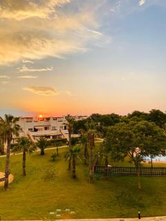 Condado de Alhama, Jardin 7 - Alhama de Murcia - 9