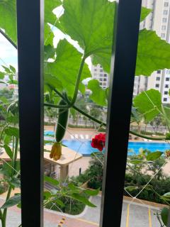 Bin's house - Ho-Chi-Minh-Stadt - 1