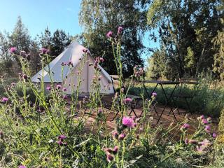 Glamping Kotitila Kiveinen - Laitila - 0