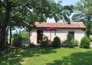Case Bosco - Roccalbegna - 7