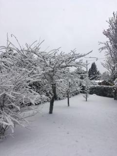 Pai Pay Calido y Confortable Bungalow - Bariloche - 5