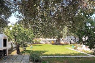 Villa della Nonna - Torre Canne - 9
