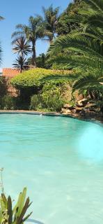 Bozi Abode - Kempton Park - 0