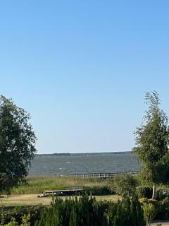 Bodden-Adler - Fuhlendorf - 3