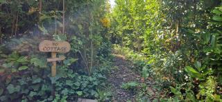 Water & Meadow cottage in Central Holland 2A & 2C - Schoonrewoerd - 9