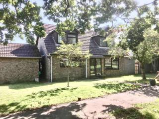 Cherry Cottage - West Mersea - 6