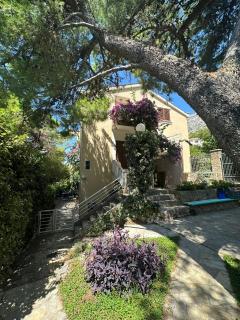 Apartments Ivna - Omiš - 4