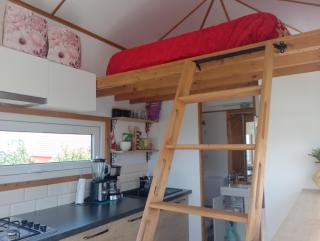 Tiny House Cluj with Jacuzzi - Sînnicoară - 8