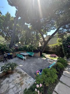 Apartments Ivna - 2