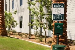Home2 Suites by Hilton Phoenix Chandler - Chandler - 4