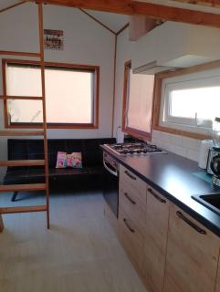 Tiny House Cluj with Jacuzzi - Sînnicoară - 6