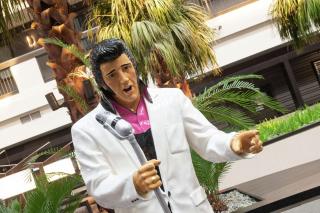 Embassy Suites by Hilton Las Vegas - 6