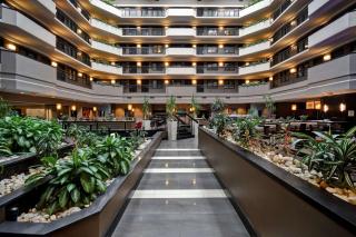 Embassy Suites by Hilton Dulles Airport - Herndon - 5
