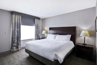 Hilton Garden Inn Toledo / Perrysburg - Perrysburg - 2