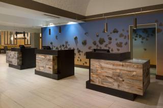 Embassy Suites by Hilton Austin Central - Austin - 4