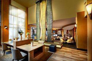 Embassy Suites by Hilton Phoenix Scottsdale - Phoenix - 7