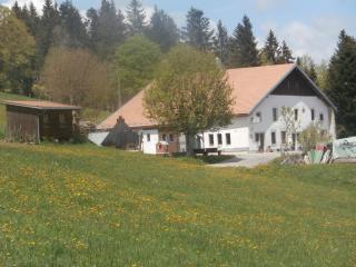 B&B La Ferme De Pouillerel - La Chaux-de-Fonds - 9