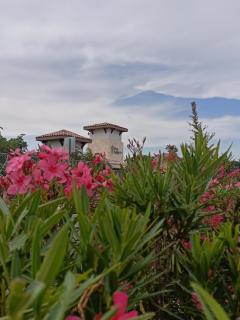 Charming Apartment HOEStel Reiden! - Playa del Carmen - 8