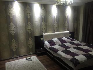 Ultracentral cozy apartment - Râmnicu Vâlcea - 4