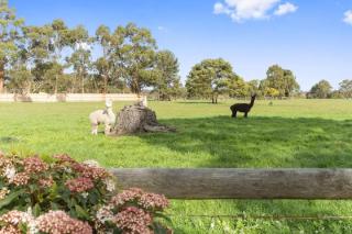 Country Home Stay, Animals, 2 Properties Sleeps 17 - 1