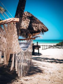 Utopia Guesthouse & Yoga Studio beachfront home - El Cuyo - 6