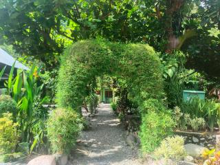 Jungle View Homestay & Guesthouse Only Stay Here Book Treking With Us - Bukit Lawang - 2