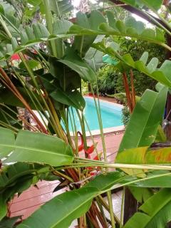 Saku Boutique Homestay - Saraphi - 5