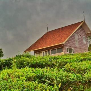 Cuckoos Nest - Vagamon - 2