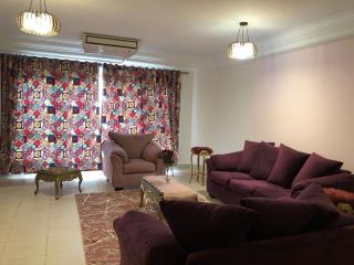 شقة علي النيل 103 - 9