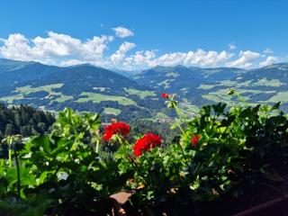 Appartement Oberschernthann - 6