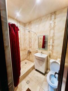 Luxuary Specious 2Bedroom Apartment on Argishti Street - Yerevan - 1