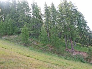 Appartement T2 pour 6 pers, Les Orres, balcon, animaux admis - FR-1-322-218 - Les Orres - 1