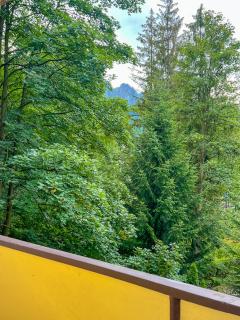 Śnieżna Łapa - Zakopane - 5