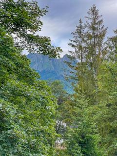 Śnieżna Łapa - Zakopane - 9