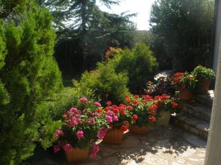 Guesthouse Villa Lena - Premantura - 2