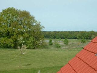 Albatros App 04 DG R - 8