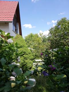 Ferienwohnung an der Windmühle - Weimar - 0