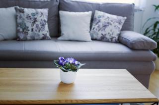 Apartman Dada - Krapinske Toplice - 6
