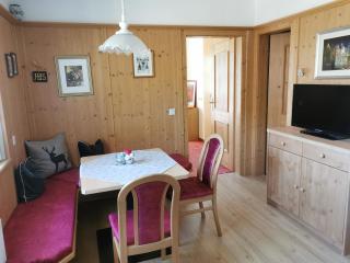 Appartement Gredler Martina - Mayrhofen - 1