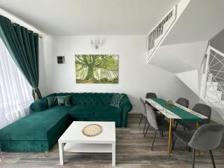 elisio - Maple House - Ghimbav - 3