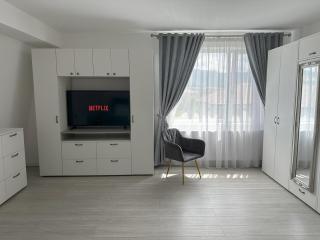 elisio - Maple House - Ghimbav - 8