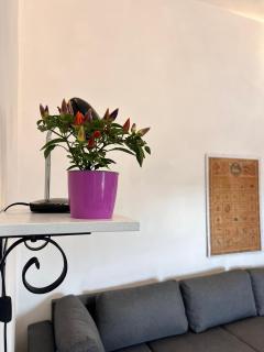 Casa laggiù - Gradoli - 1